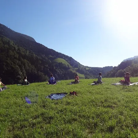 Friedlwirt-kraftplatz Gasthof