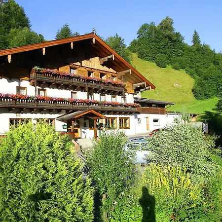 Affittacamere Friedlwirt-kraftplatz 3*