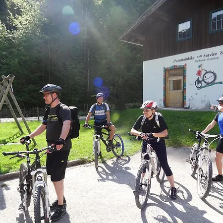 Gasthof Friedlwirt-kraftplatz