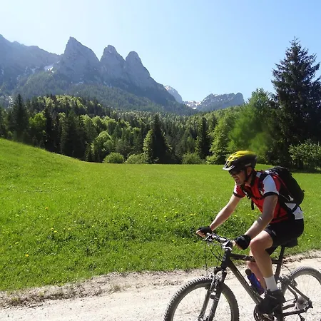 Friedlwirt-kraftplatz Unken