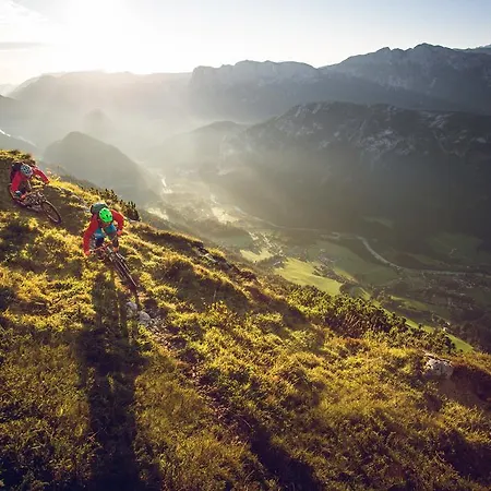 Gasthof Friedlwirt-kraftplatz 3*