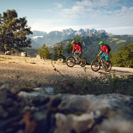 Gasthof Friedlwirt-kraftplatz Unken