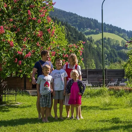 Friedlwirt-kraftplatz